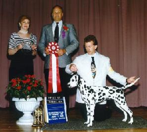 Best of Opposite Sex to Best of Breed Dalmatian Club of Detroit Specialty