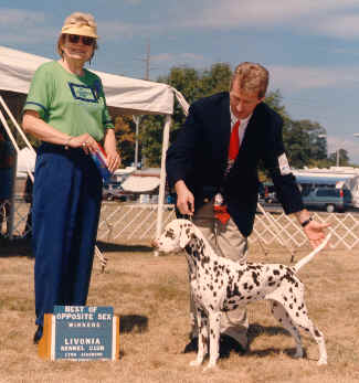 Best of Opposite Sex to Best of Breed from the classes